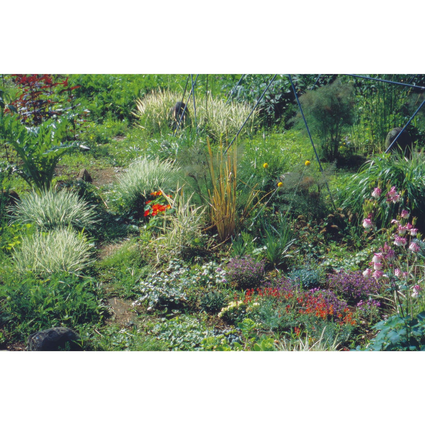 ReConstruction | Jiro Kimura and Gallery Trax